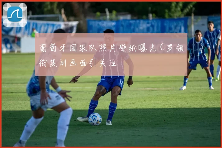 葡萄牙国家队照片壁纸曝光 C罗领衔集训画面引关注