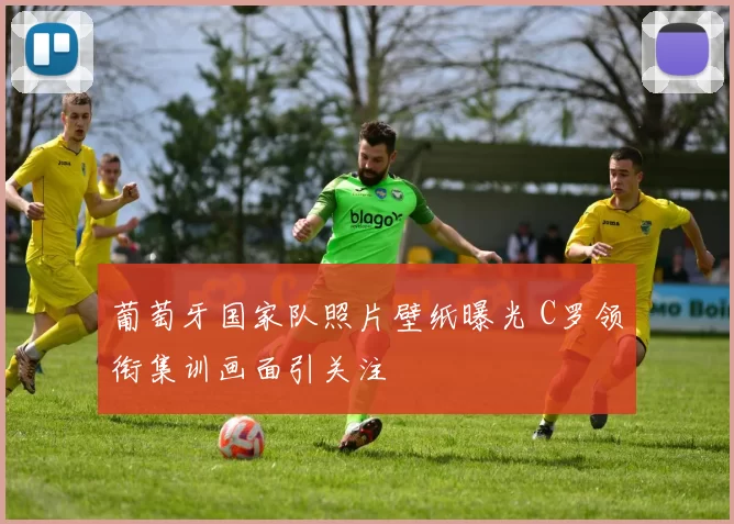 葡萄牙国家队照片壁纸曝光 C罗领衔集训画面引关注