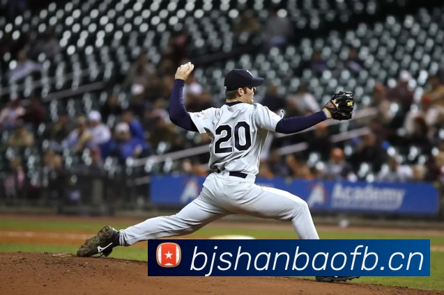 足球世界杯官网中文版平台生态图